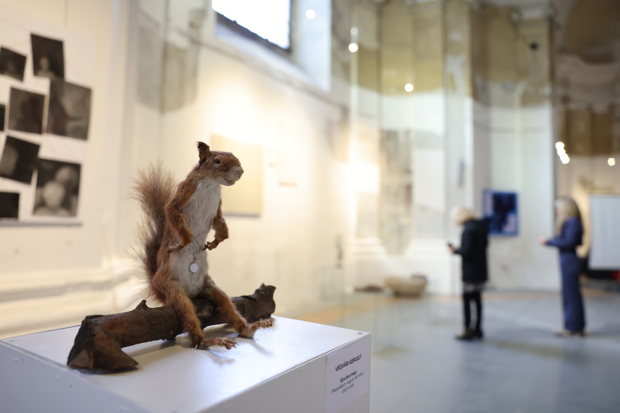 Képzetek – a MMA ösztöndíjasainak kiállítása.jpg